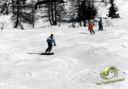 snowscoot.jpg