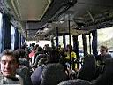 IMGP2451.jpg