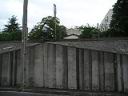 IMGP1515.MOV