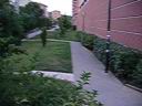 IMGP1755.MOV