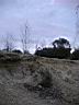 IMGP0941.JPG